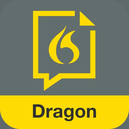 Dragon Professional